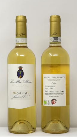 CONTI LEONE *PROGETTO 1* romagna albana biologico docg secco